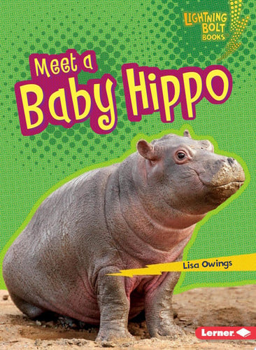 Cover of Meet a Baby Hippo