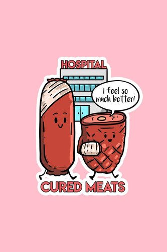 Cured Meats Lined Journal - Cured Meats Funny Sayings Sausage Ham Puns Food Jokes Gift - Pink Ruled Diary, Prayer, Gratitude, Writing, Travel, Notebook for Men Women - 6x9 120 Pages - Ivory Paper