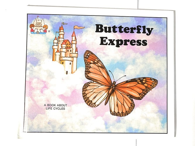 Cover of Butterfly Express (Magic Castle Reader)