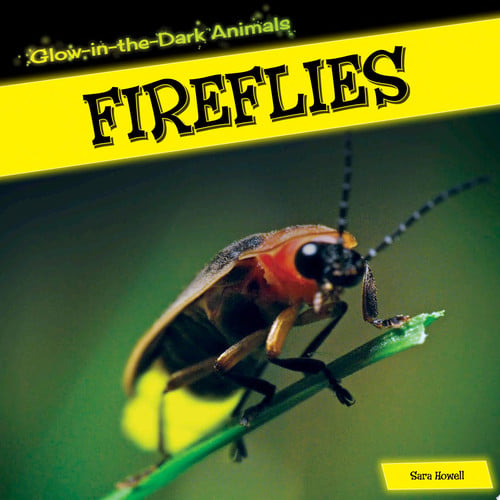 Cover of Fireflies