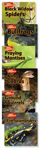 Cover of Animal Cannibals