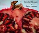 Familiar Strange
