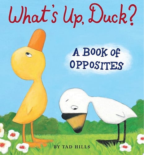 Cover of What's up, Duck?
