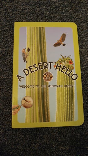 Cover of A Desert Hello