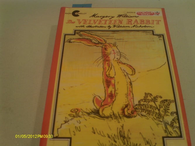 Velveteen Rabbit, Or, How Toys Become Real