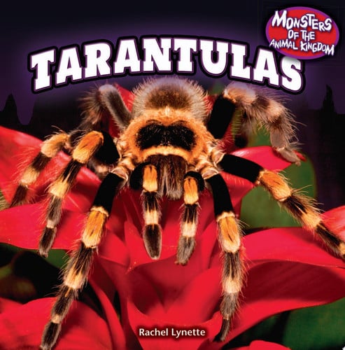 Cover of Tarantulas