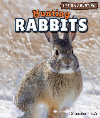 Cover of Hunting Rabbits