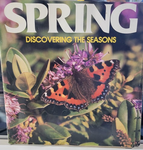 Cover of Spring