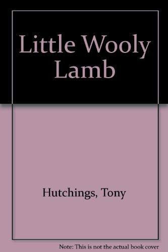 Cover of Little Wooly Lamb (Hutchings Little Animals Series)