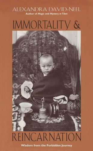 Immortality and Reincarnation Wisdom from the Forbidden Journey