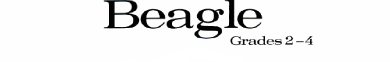 Cover of Book Report Beagle (Learning Works Creative Writing)