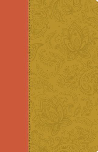 Collins Anglicised ESV Bibles - Holy Bible Paisley Tan Thinline Edition