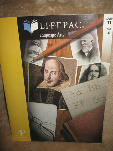 Cover of Why Study Reading? (Lifepac Language Arts Grade 11)