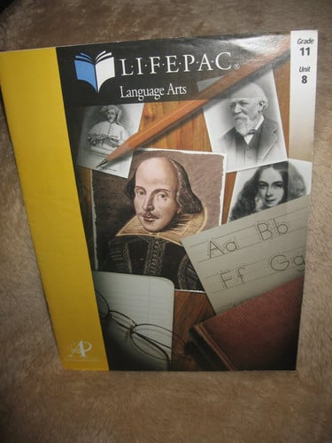 Cover of American Novel
