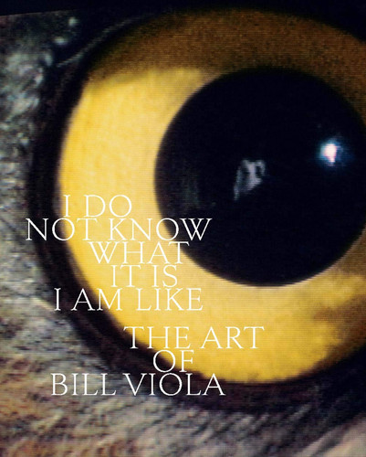 I Do Not Know what it is I Am Like The Art of Bill Viola