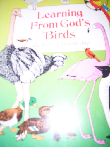 Cover of Learning from God's Birds