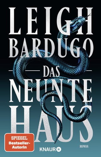 Das neunte Haus Roman
