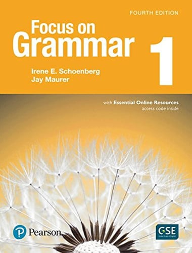 Focus on Grammar