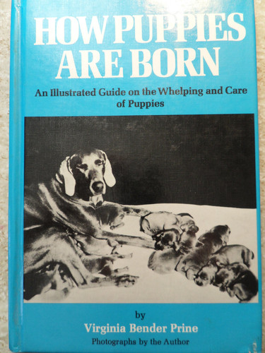Cover of How puppies are born
