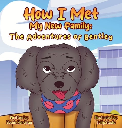 Cover of How I Met My New Family