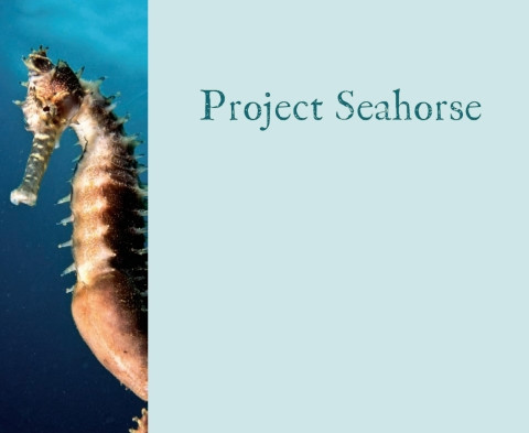 Cover of Project Seahorse