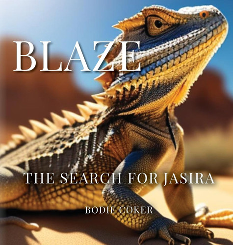 Cover of Blaze