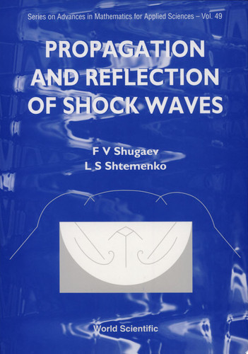 Propagation and Reflection of Shock Waves