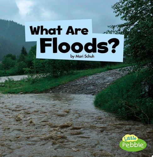 Cover of What Are Floods?