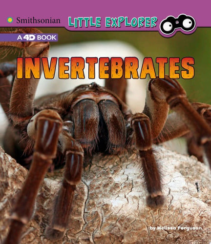 Cover of Invertebrates