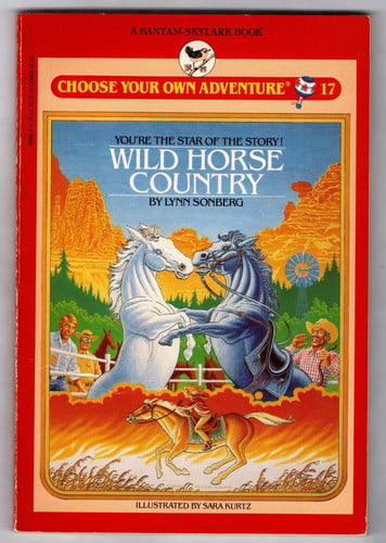Cover of WILD HORSE COUN/#17