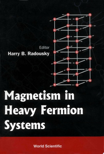 Magnetism in Heavy Fermion Systems