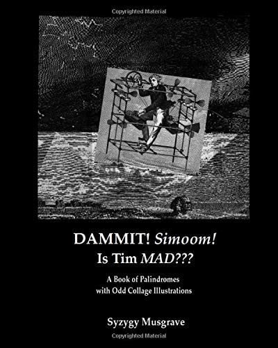 DAMMIT! Simoom! Is Tim MAD??? A Book of Palindromes with Odd Collage Illustrations