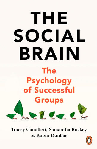 The Social Brain The Psychology of Successful Groups