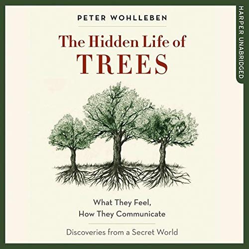 Hidden Life of Trees What They Feel, How They Communicate - Discoveries from a Secret World