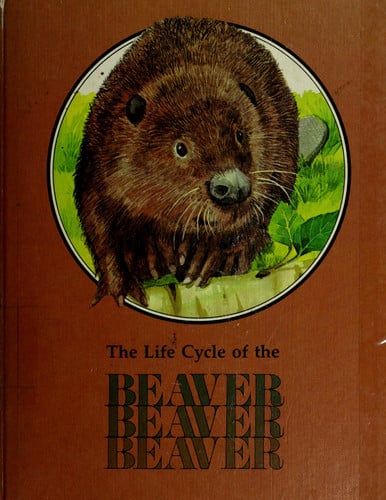 Cover of The Beaver