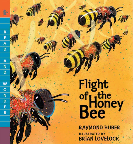 Cover of Flight of the Honey Bee