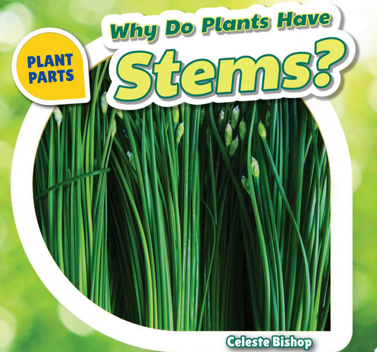 Cover of Why Do Plants Have Stems?