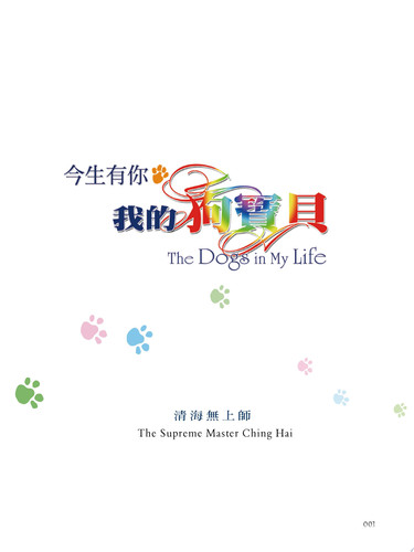 今生有你‧我的狗寶貝 - 清海無上師