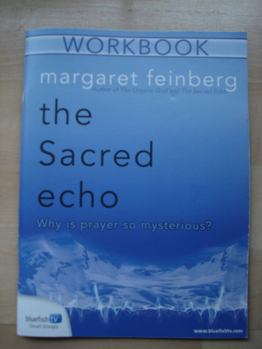 The Sacred Echo Participant's Guide Workbook