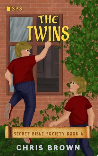 Cover of Twins