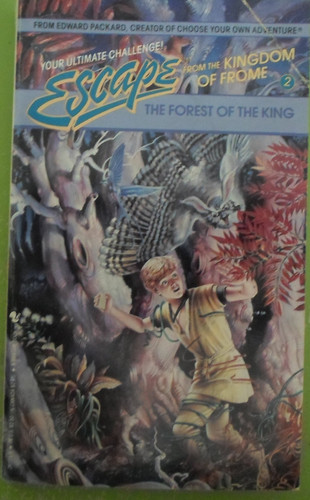Cover of The forest of the king