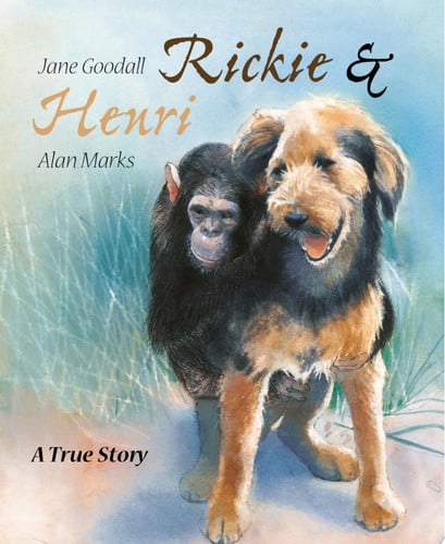 Cover of Rickie and Henri