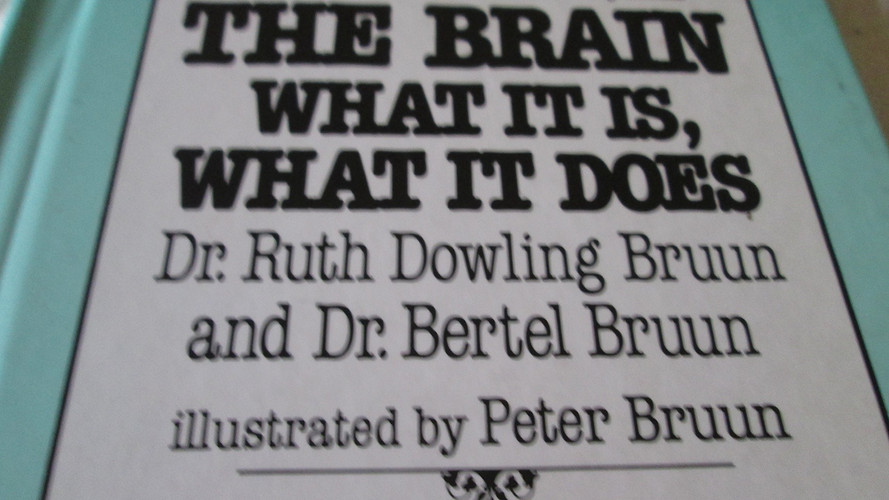 The Brain--what it Is, what it Does