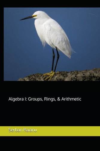 Algebra I: Groups, Rings, & Arithmetic