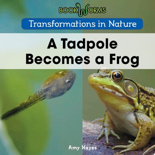 Cover of Tadpole Becomes a Frog