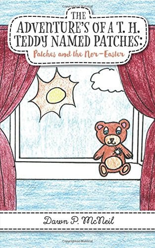 The Adventure's of a T. H. Teddy Named Patches Patches and the Nor-Easter
