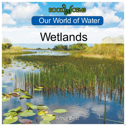 Cover of Wetlands