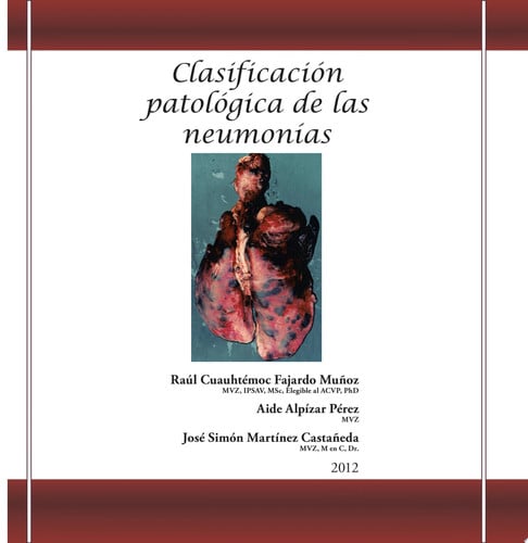 Clasificación patológica de las neumonías