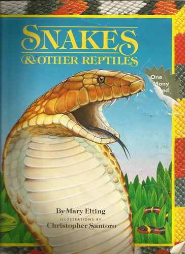 Cover of Snakes and other reptiles