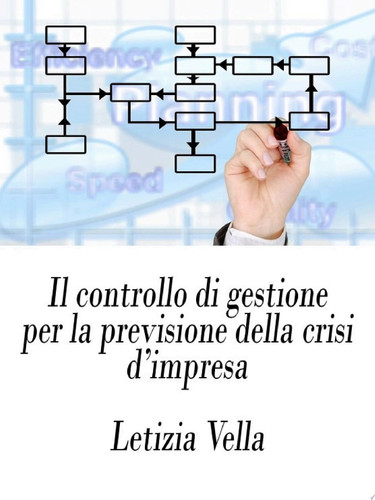 Il controllo di gestione per la previsione della crisi d'impresa
